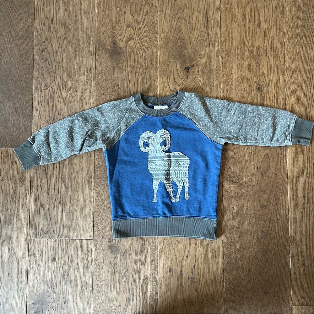 Hanna Andersson sweatshirt